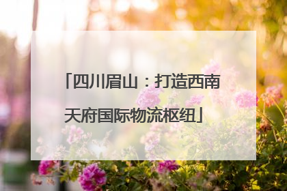 四川眉山：打造西南天府国际物流枢纽