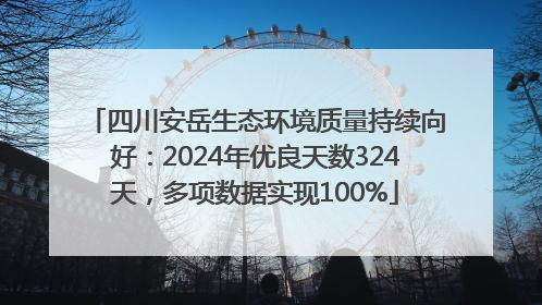 四川安岳生态环境质量持续向好：2024年优良天数324天，多项数据实现100%