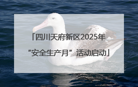 四川天府新区2025年“安全生产月”活动启动