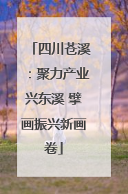 四川苍溪：聚力产业兴东溪 擘画振兴新画卷