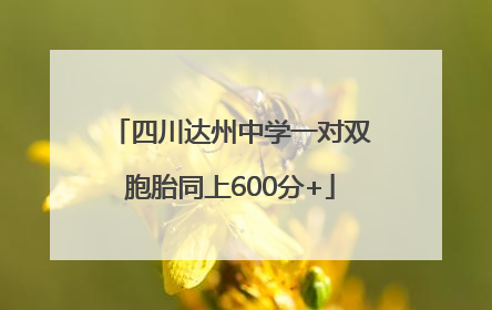 四川达州中学一对双胞胎同上600分+