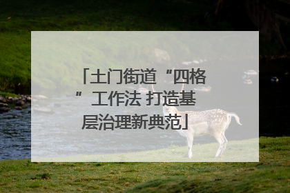 土门街道“四格”工作法 打造基层治理新典范