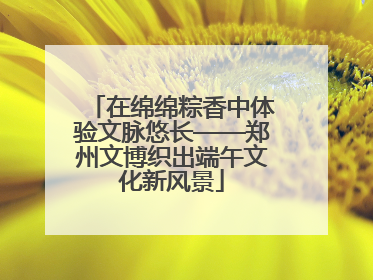 在绵绵粽香中体验文脉悠长——郑州文博织出端午文化新风景
