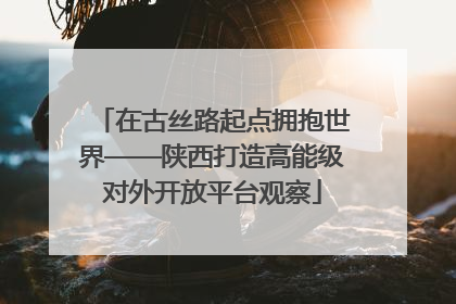 在古丝路起点拥抱世界——陕西打造高能级对外开放平台观察
