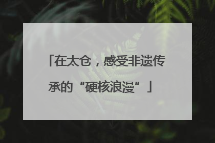 在太仓，感受非遗传承的“硬核浪漫”