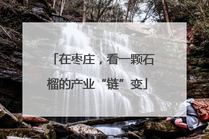 在枣庄，看一颗石榴的产业“链”变