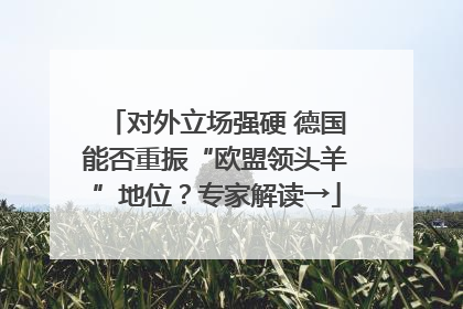 对外立场强硬 德国能否重振“欧盟领头羊”地位？专家解读→