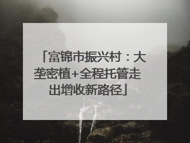 富锦市振兴村：大垄密植+全程托管走出增收新路径