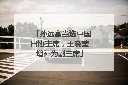 孙远富当选中国田协主席，王晓莹增补为副主席