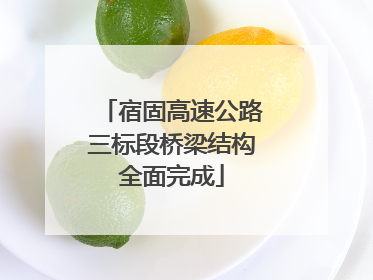 宿固高速公路三标段桥梁结构全面完成