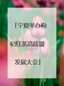 宁夏举办枸杞红茶高质量发展大会
