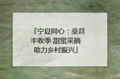 宁夏同心：桑葚丰收季 甜蜜采摘助力乡村振兴