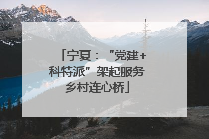 宁夏：“党建+科特派”架起服务乡村连心桥