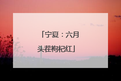 宁夏：六月头茬枸杞红