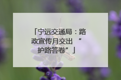 宁远交通局：路政宣传月交出 “护路答卷”