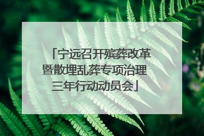 宁远召开殡葬改革暨散埋乱葬专项治理三年行动动员会