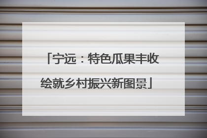 宁远：特色瓜果丰收绘就乡村振兴新图景