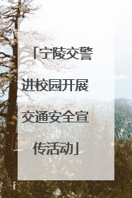 宁陵交警进校园开展交通安全宣传活动