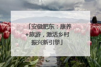 安徽肥东：康养+旅游，激活乡村振兴新引擎