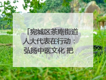 宛城区茶庵街道人大代表在行动：弘扬中医文化 把脉基层健康