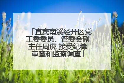 宜宾南溪经开区党工委委员、管委会副主任周虎 接受纪律审查和监察调查