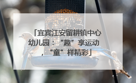 宜宾江安留耕镇中心幼儿园：“趣”享运动，“童”样精彩