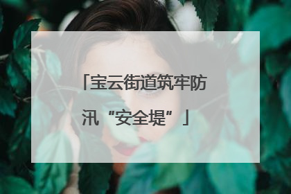 宝云街道筑牢防汛“安全堤”