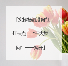 实探杨泗港网红打卡点：“三大疑问”一一揭开