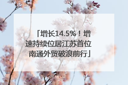 增长14.5%！增速持续位居江苏首位 南通外贸破浪前行