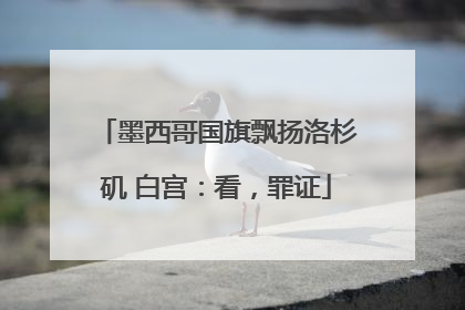 墨西哥国旗飘扬洛杉矶 白宫：看，罪证