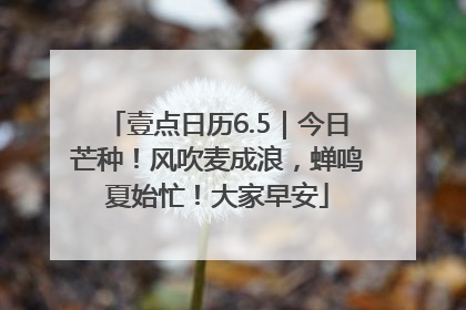 壹点日历6.5｜今日芒种！风吹麦成浪，蝉鸣夏始忙！大家早安