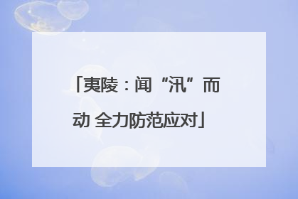 夷陵：闻“汛”而动 全力防范应对