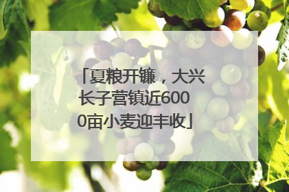 夏粮开镰，大兴长子营镇近6000亩小麦迎丰收
