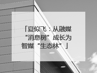 夏似飞：从融媒“消息树”成长为智媒“生态林”