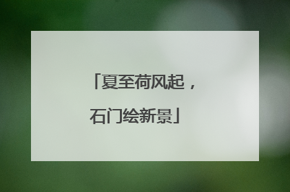夏至荷风起，石门绘新景