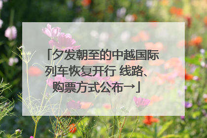夕发朝至的中越国际列车恢复开行 线路、购票方式公布→