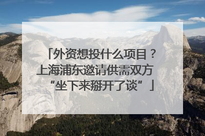 外资想投什么项目？上海浦东邀请供需双方“坐下来掰开了谈”