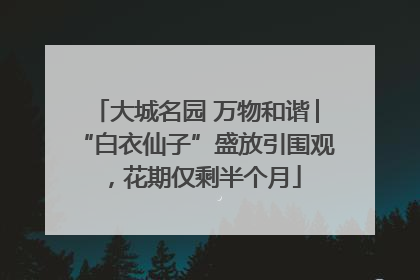 大城名园 万物和谐│“白衣仙子”盛放引围观，花期仅剩半个月