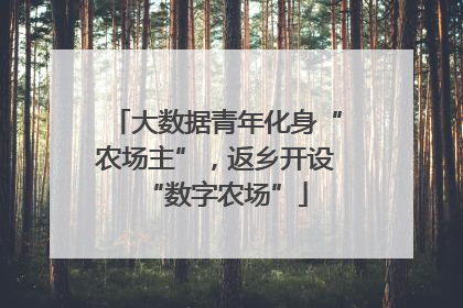 大数据青年化身“农场主”，返乡开设“数字农场”