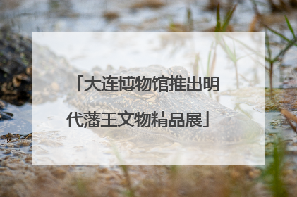 大连博物馆推出明代藩王文物精品展