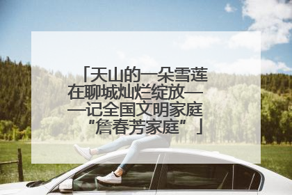 天山的一朵雪莲在聊城灿烂绽放——记全国文明家庭“詹春芳家庭”