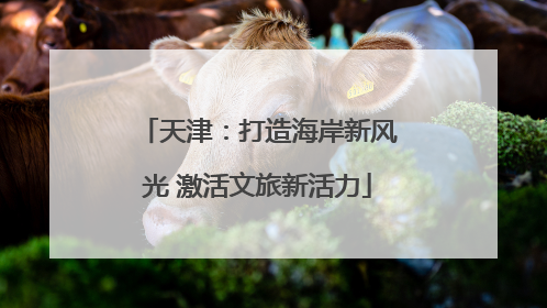天津：打造海岸新风光 激活文旅新活力