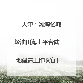 天津：渤海亿吨级油田海上平台陆地建造工作收官