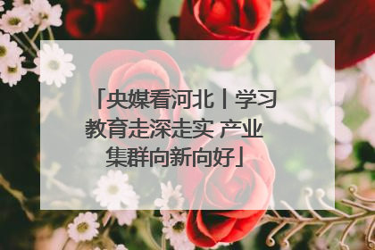 央媒看河北丨学习教育走深走实 产业集群向新向好