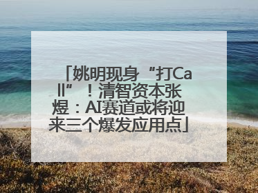 姚明现身“打Call”！清智资本张煜：AI赛道或将迎来三个爆发应用点