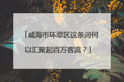 威海市环翠区这条河何以汇聚起百万客流？