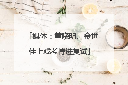 媒体：黄晓明、金世佳上戏考博进复试