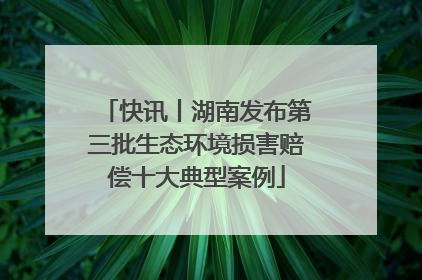 快讯丨湖南发布第三批生态环境损害赔偿十大典型案例