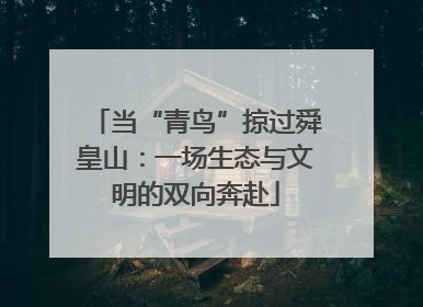 当“青鸟”掠过舜皇山：一场生态与文明的双向奔赴