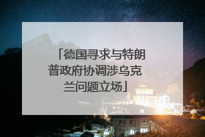 德国寻求与特朗普政府协调涉乌克兰问题立场